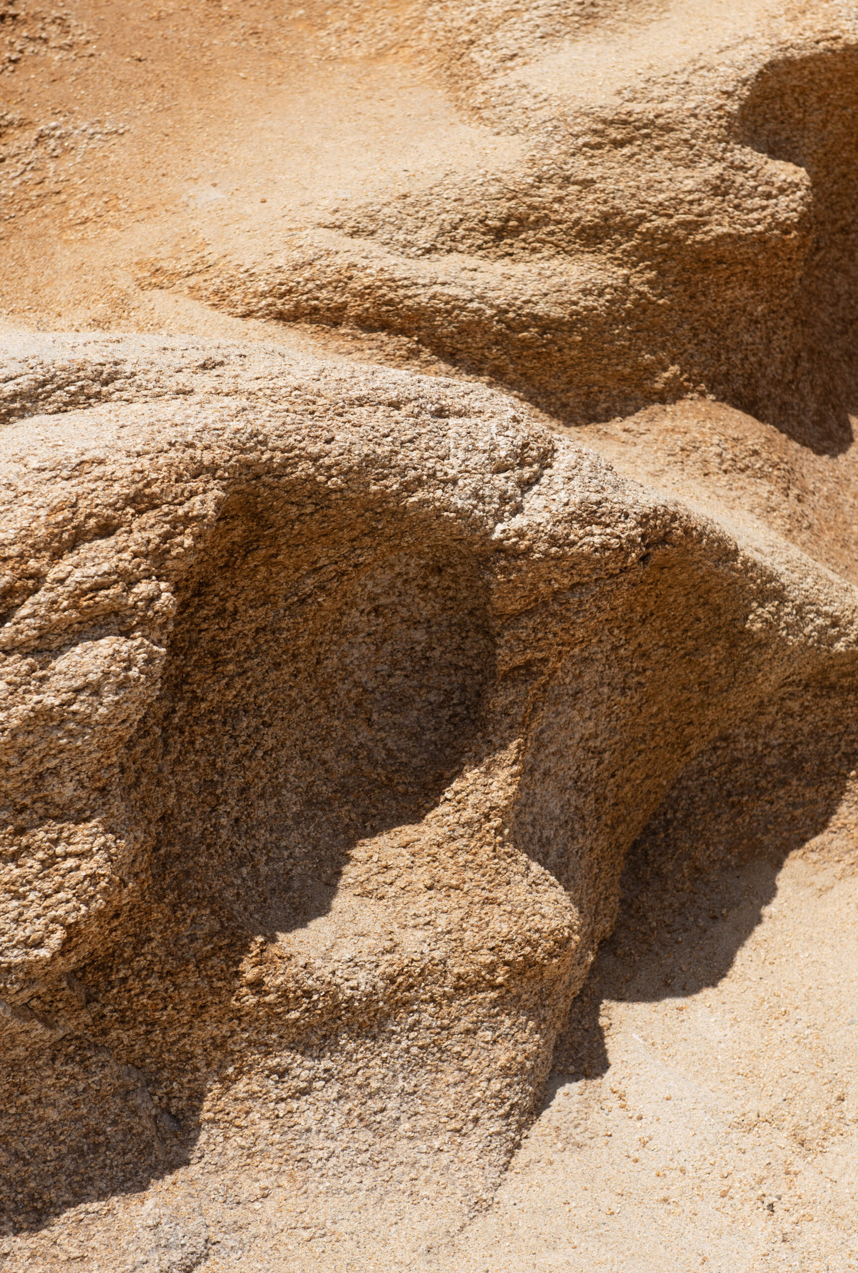 GLP-1 and Muscle Loss: What the New Tirzepatide vs Semaglutide Study Found