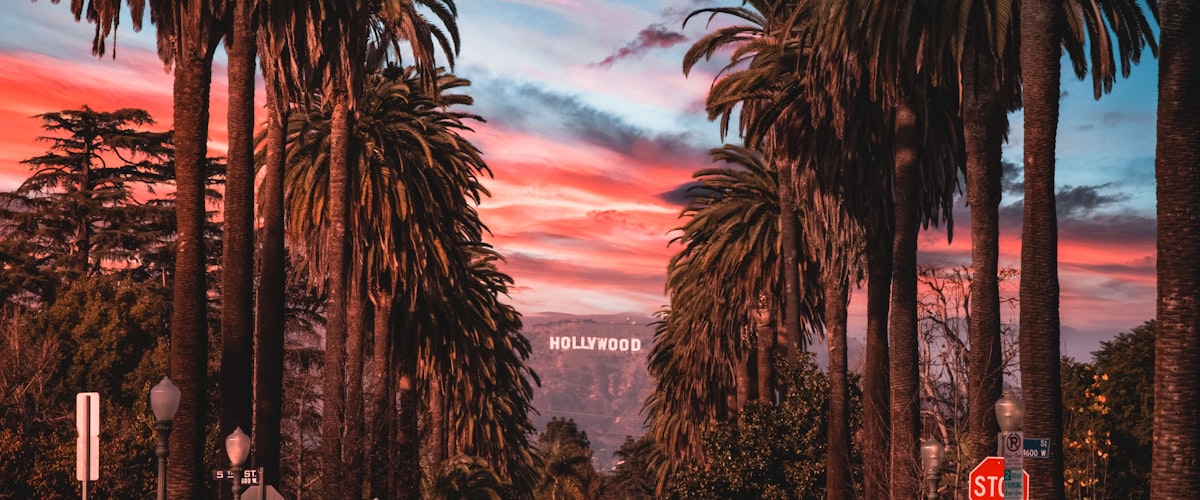 Los Angeles wellness guide — Beverly Hills, Santa Monica, Venice Beach